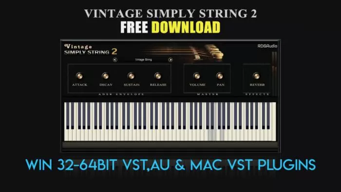 loopazon vintage simply string 2 RDG Audio Download